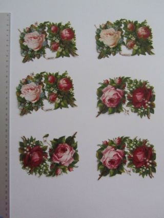 6 Chromos Decoupis - - - - Roses