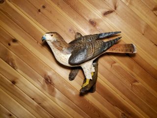 Red - Tailed Hawk Wood Carving Birds Of Prey Carving Duck Decoy Casey Edwards