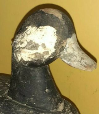 Vintage & Rare North Carolina Ruddy Duck Decoy Maker Unk Shorebird Goose Va Nc