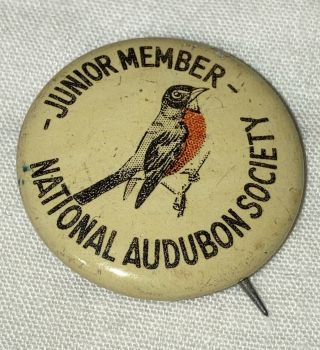 Vintage Junior Member National Audubon Society Robin Pic Pinback Button - 7/8”