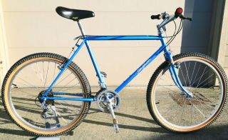 Vintage 1983 Specialized Stumpjumper Mountain Bike All In Cond.