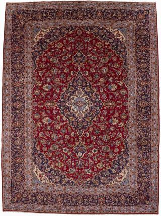 Traditional Floral Hand - Knotted Red 10x13 Vintage Area Rug Oriental Wool Carpet
