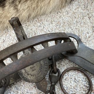 Vintage Oneida Newhouse 114 Trap Offset Teeth Alaska Wolf Trap Antique (1141) 4