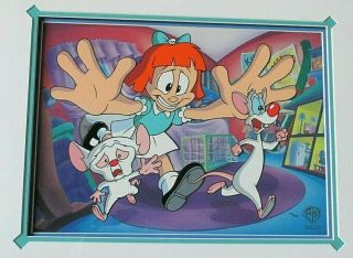 Pinky And The Brain,  Animaniacs Warner Brothers Limited Edition Cel Framed