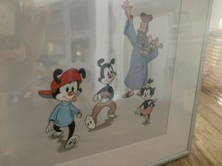 Production Cel - Animaniacs; Warner Bros.  “nothing But The Tooth”