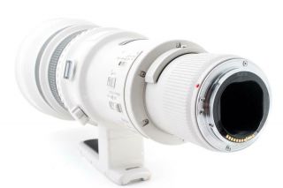 Canon EF 600mm f/4 L USM EF Mount Camera Lens 6