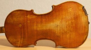 Very Old Labelled Vintage Violin " David Tecchler " Fiddle 小提琴 ヴァイオリン Geige 1051