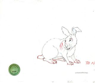 Watership Down 1978 Production Animation Cel Drawing With Lje 006 - 3