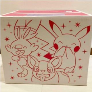 Pokemon Pika Pika Box 2021 Random Blanket Year Contents Secret Box