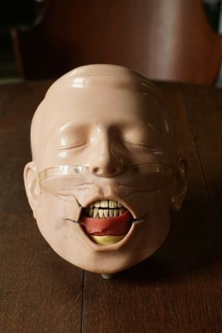 Vintage Dental Phantom Head Training Simulator Manikin Model