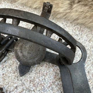 Vintage Oneida Newhouse 114 Trap Offset Teeth Alaska Wolf Trap Antique (1142) 3