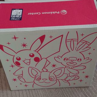 Pokemon Center Pikapika Box 2021 Lucky Bag Happy Bag (box Not)