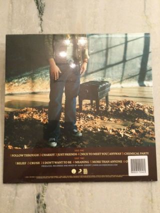 Chariot Gavin DeGraw Vinyl RARE 1 of 400 Fallen Leaf Brown Vinyl 3