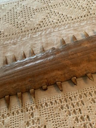 Old Vintage Antique Sawfish Rostrum 40” Long 55 Teeth 3