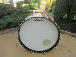 Vintage Ludwig 14 X 22 Bass Drum Gold Sparkle Keystone 1965