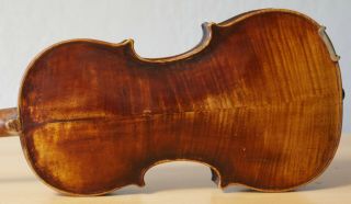 Very Old Labelled Vintage Violin " Stefano Scarampella " Fiddle 小提琴 Geige 1438