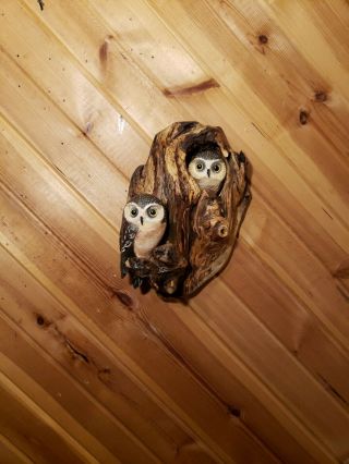 Saw - Whet Owl Wood Carving Birds Of Prey Duck Decoy Casey Edwards