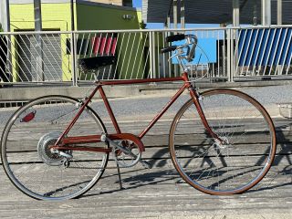 1973 Schwinn Suburban Vintage Bicycle