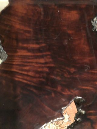 Burl Wood Coffee Table 5