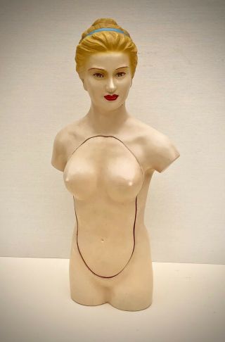 Vintage Human Torso Anatomical Model Anatomy Woman Internal Organs Teaching Aid 2