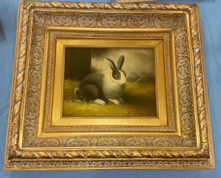 Vintage Framed Oil Painting Of A Rabbit Quality Signed H Harbel 20 " X 18 "