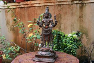 Kartikeya Statue Bronze Hindu God Muruga Sculpture Peacock Vintage Pooja Idol 3