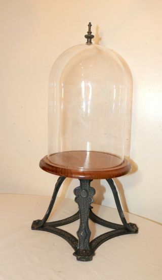 Antique Handmade Arts And Crafts Brass Glass Wood Display Bell Cloche Jar Case