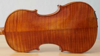 Very Old Labelled Vintage Violin " Evasio Emilio Guerra " Fiddleァイオリン Geige 1454