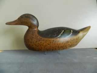 Antique Mason Premier Mallard Hen Duck Decoy Hollow Body 1910 Restored