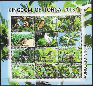 Tonga S/s Birds Of Tonga 2013 Mnh - 80 Euro