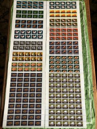 Papua Guinea Stamps Set In Full Muh Sheets 1968 - 69 Sea Shells