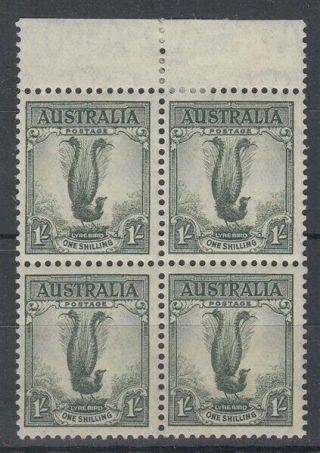Australia 1937 1/ - Lyre Bird Block (4) P13½x14 (id:h1531)