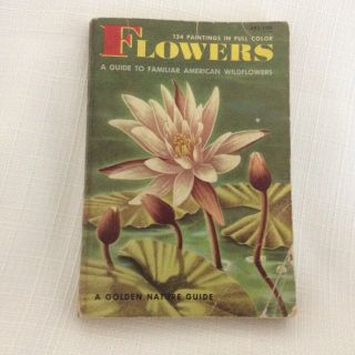 A Golden Nature Guide Familiar American Wildflowers 1950 Edition Field Guide