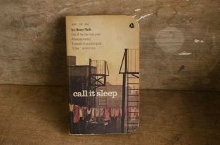 Call It Sleep Henry Roth Vintage Pulp Fiction Paperback 1964