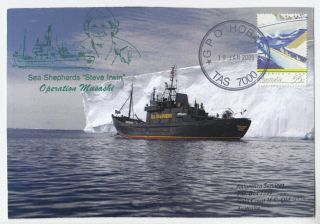 2009 Antarctic Operation " Musashi " By Sea Shepherd 