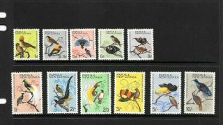 Stamps Papua Guinea 1964=5 Bird Set Of 11 Mlh