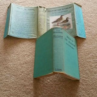 Birds Of The Seashore - H.  J.  Massingham 1936 With 69 Drawings