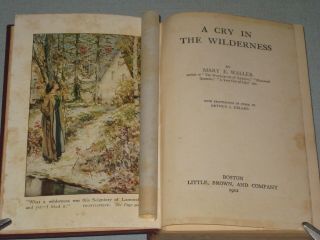 1912 BOOK A CRY IN THE WILDERNESS BY MARY E.  WALLER 2