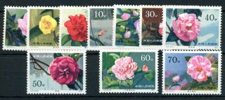 China 1979 Camellias Set Of 10 Unmounted,  Fine.  Sg 2912 - 21 Cat £32.  25