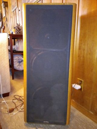 Infinity Systems Rs 6000 Floorstanding Speakers,  Local Pick Up Only.