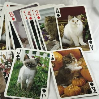 Cats Cats Kittens Playing Cards 2 Deck Set Persians Tabby Calico Crafts