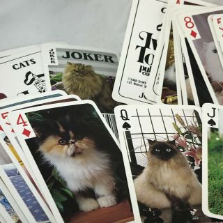 Cats Cats Kittens Playing Cards 2 Deck Set Persians Tabby Calico Crafts 3