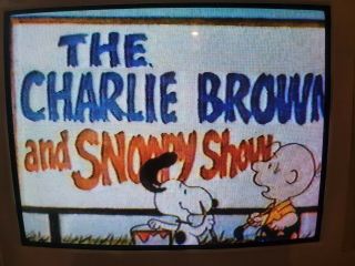 1 Rare VHS Tape TV home blank 80s recording only Charlie Brown Snoopy Show 2