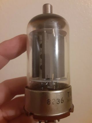 Rare Tung - Sol 8236 Brown Base Vacuum Tube Hallicrafter Tests Strong (not 6dq5)