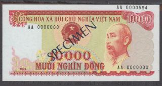 Vietnam 10000 Dong Specimen Banknote P - 115 Nd 1993 Gem Unc