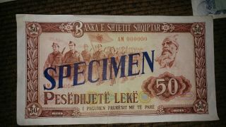 Albania Banknote 50 Leke 1964 - Specimen