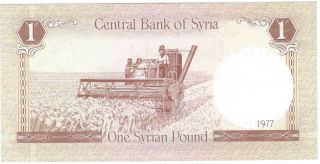 Syria 1 Pound edition 1977 UNC 2