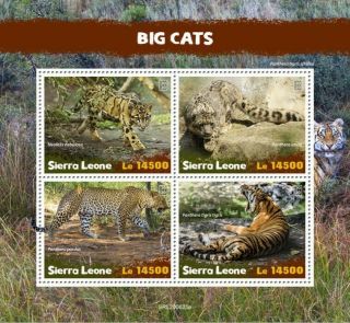 Sierra Leone Wild Animals Stamps 2020 Mnh Big Cats Leopards Tigers Fauna 4v M/s