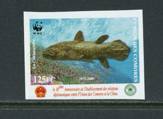 A862 Comoro Island 2006 Fish Marine Coelacanthe Wwf Imperf 1v.  Mnh