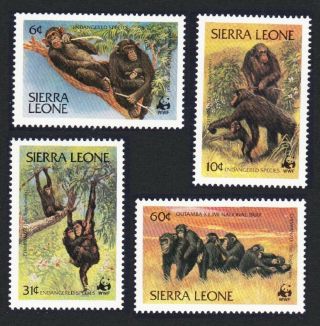 Sierra Leone Wwf Chimpanzee 4v 1983 Mnh Sg 745 - 748 Mi 713 - 716 Sc 586 - 589